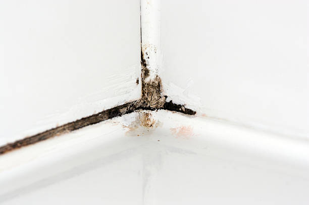 istock Disgusting hotel shower bathroom tile sealant with mould and mildew 94026070
