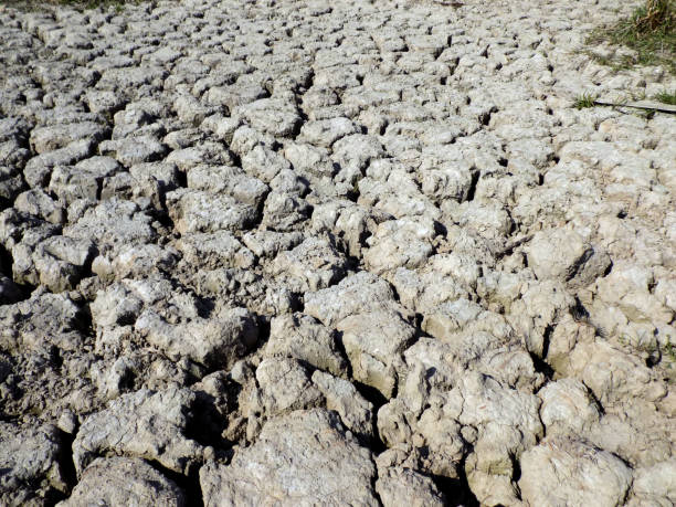 istock Cracked wetland during long-lasting drought 940263842