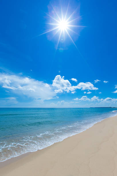 istock Beach and beautiful tropical sea. 940267934