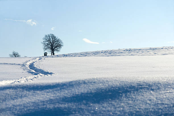 Wintry landscape stock photo