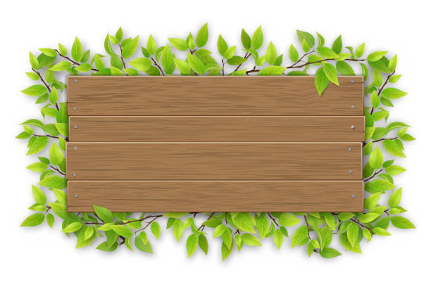 leere holzschild mit ast - frühling sprüche stock-grafiken, -clipart, -cartoons und -symbole
