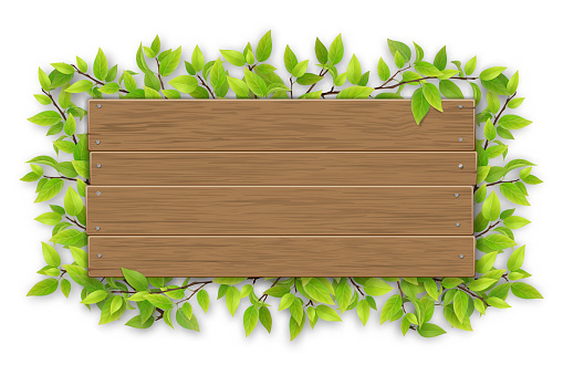 Empty wooden sign with space for text on a background of tree branches with green leaves. The template for a banner or an advertisement for a seasonal discount.