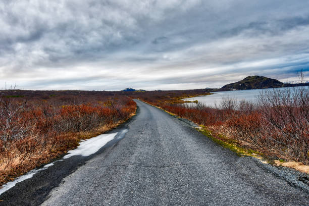 istock Road through red bushes in Iceland 940279166