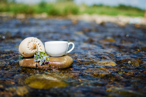 istock A cup of tea, coffee, cacao in the water on a stork on a stony day 940281168