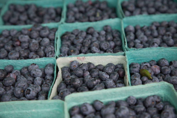 istock Blueberry containers healthy nutrition background 940285078
