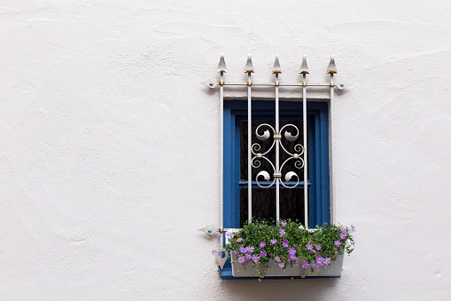 Ornate bars protect a window adorned with a flower box.