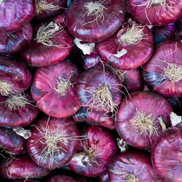istock purple onion. Red onions 940287572