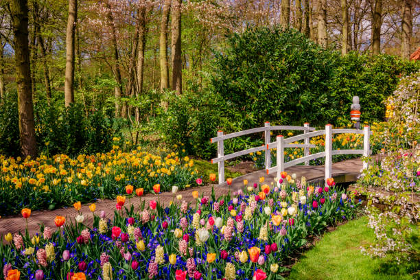 istock Beautiful garden. Park in The Spring. Spring landscape 940287634