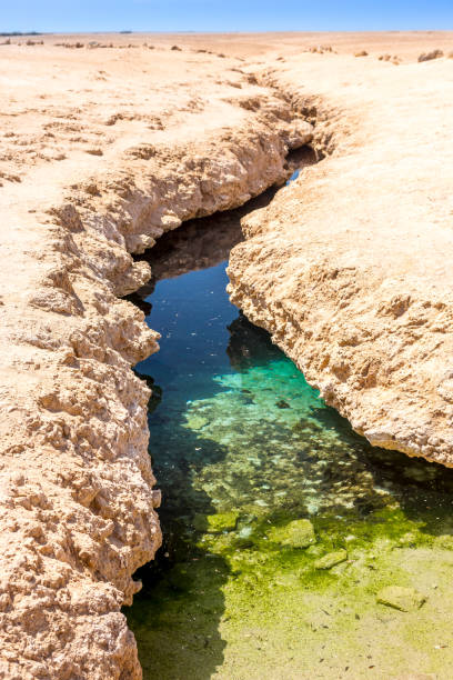 istock Ras Mohamed National Park in Egypt. 940299408