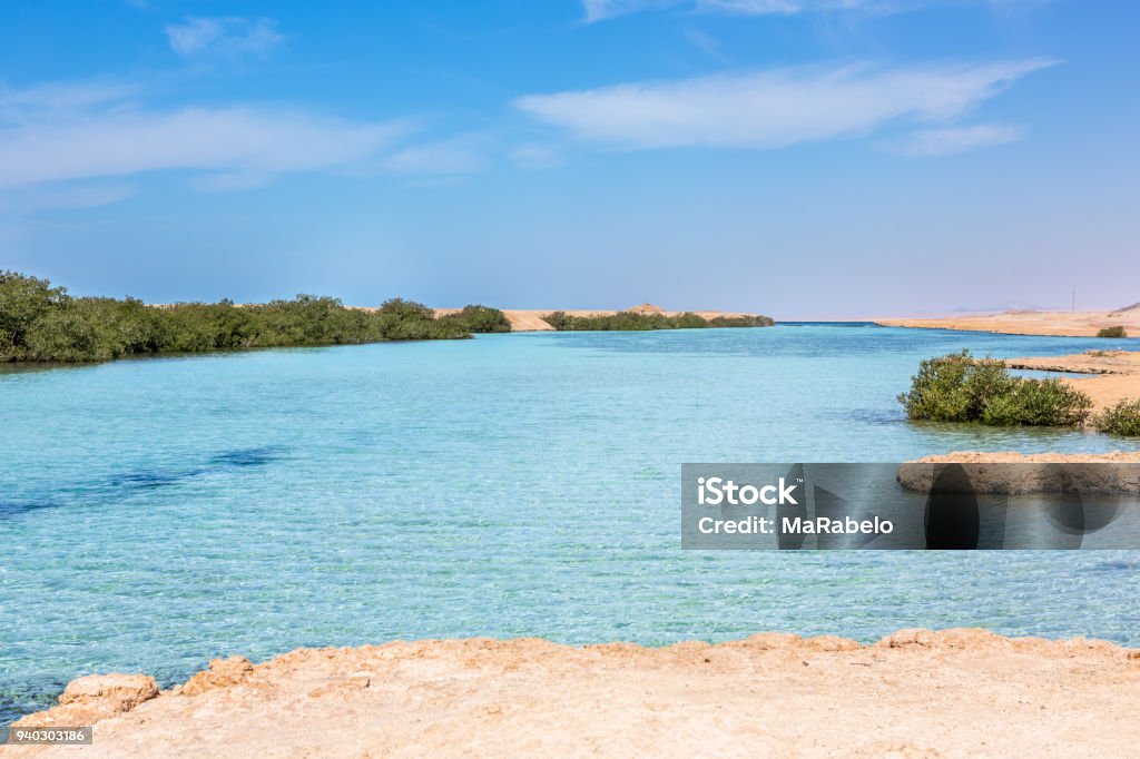 Ras Mohamed National Park in Egypt. Ras Mohamed National Park in Egypt. Africa. Africa Stock Photo