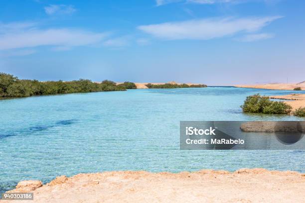 Ras Mohamed National Park In Egypt Stock Photo - Download Image Now - Africa, Beach, Beauty