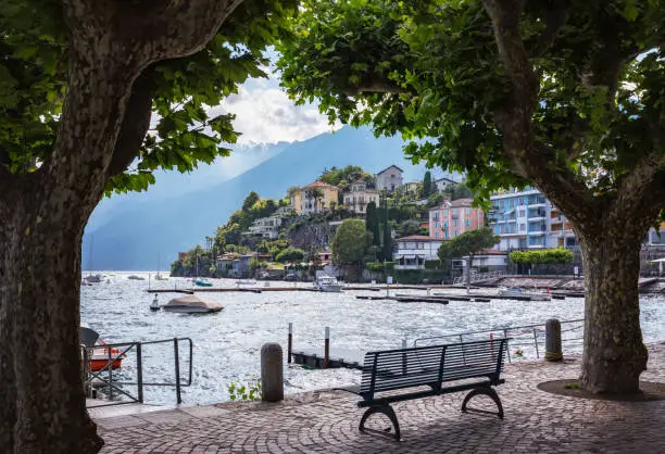 A single bench under the maple trees on the shore of Lake Maggiore in Ascona Switzerland.