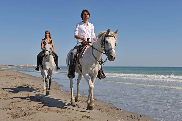 катание на лошадях на пляже - 4811 стоковые фото и изображения
