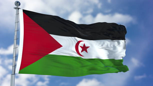 istock Western Sahara Flag in a Blue Sky 940329734