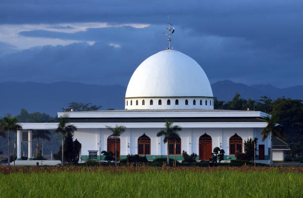 Mosque in the middle of rice fields in Ponorogo, Indonesia