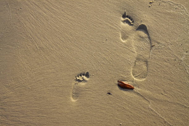 Taken this picture of the foot prints of sun and father on the beach. From birth till death its the parents are always there to provide guidance and protect us.