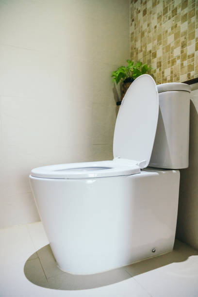 istock White toilet bowl for seat 940358604