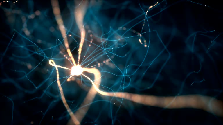 Neurons Electrical Pulses