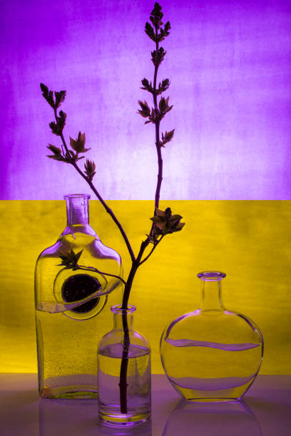 istock Still life with a flowering branch on a colored background 940368814