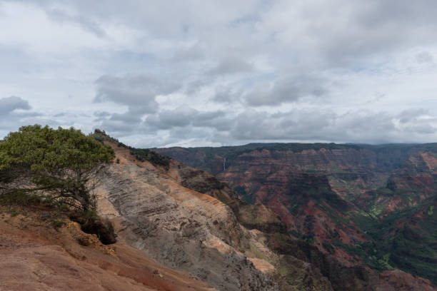 istock Waimea Canyon on Kauai, Hawaii, in winter 940370056