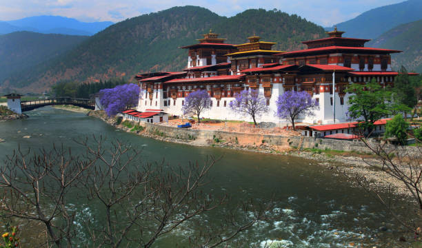 istock Punakha Dzong, Bhutan 940378264