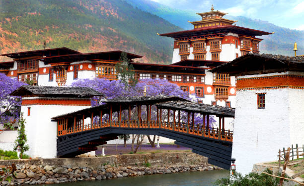 istock Punakha Dzong, Bhutan 940378428