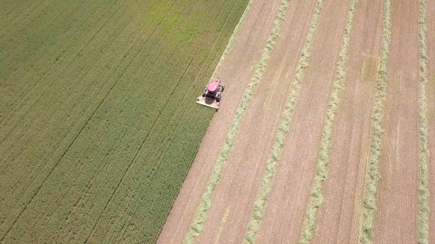 istock Red Combine harvester in a green field - Aerial Image 940380974