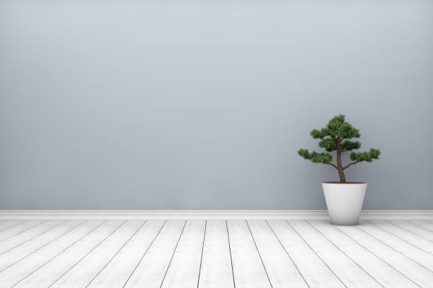 istock Empty living room with plant 940390484