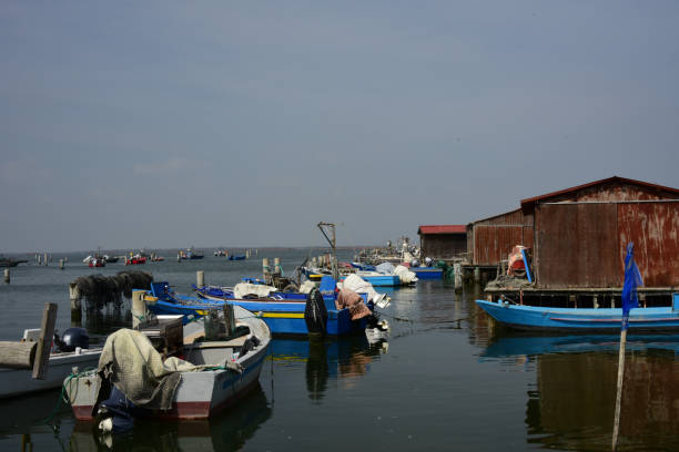 istock fishing houses on the Po Delta 940390816