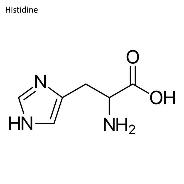 ilustraciones, imágenes clip art, dibujos animados e iconos de stock de fórmula esquelético de la histidina - nitric oxide
