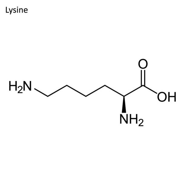 ilustraciones, imágenes clip art, dibujos animados e iconos de stock de fórmula esquelético de lisina - nitric oxide