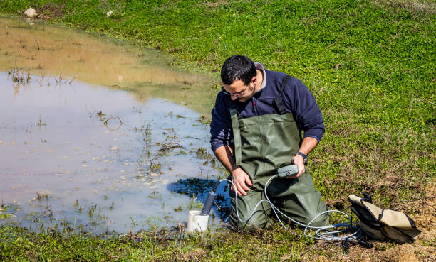 Scientist measuring environmental water quality in a wetland stock photo
