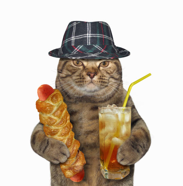 istock Cat with a sausage in dough and tea 940396414