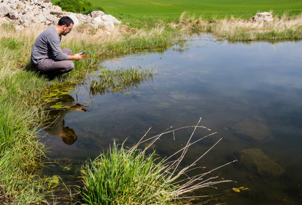 Scientist measuring environmental water quality in a wetland stock photo