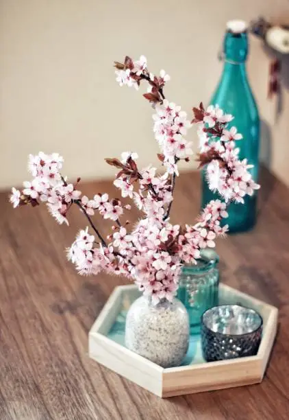 Cherryblossom in my house