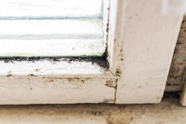 istock closeup of old dirty window sill 940399536