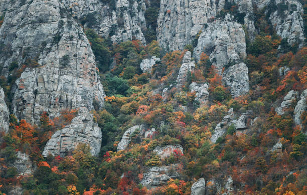 istock Rocks of mountain Demerdji. 940399740