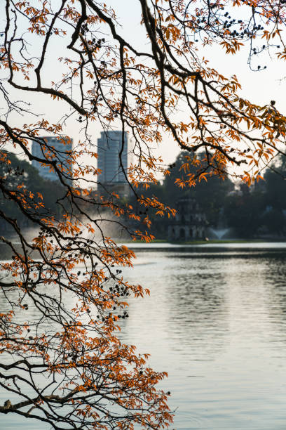 istock Young red Buds on the branches at the lake 940399818