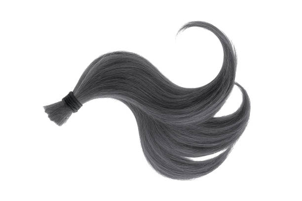 istock Black natural hair on white background 940403960