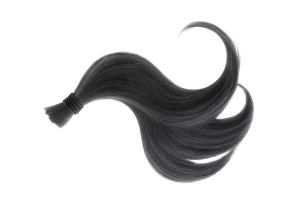 istock Black natural hair on white background 940404060