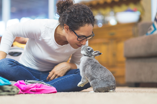 Ethnic woman in her 20s folds laundry...but takes a break to give her pet bunny a kiss