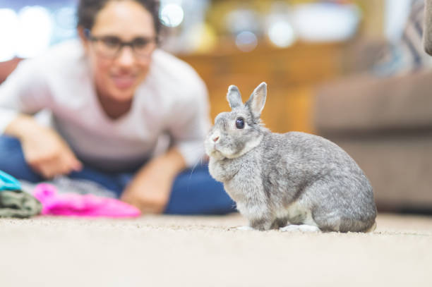 istock The Joy of Living with Pets 940404914