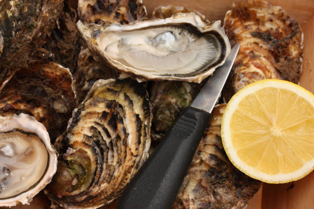 ostriche smerpede - pacific oyster foto e immagini stock