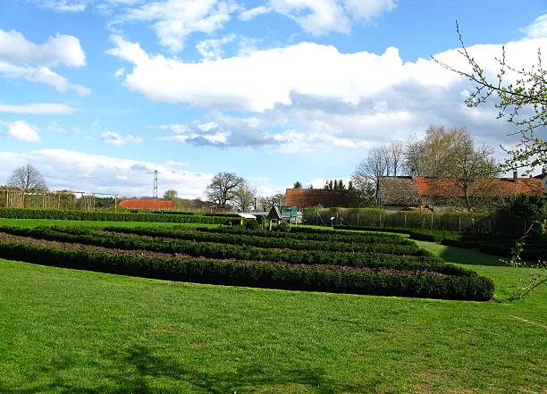 istock Perennial garden in the early spring 94042088