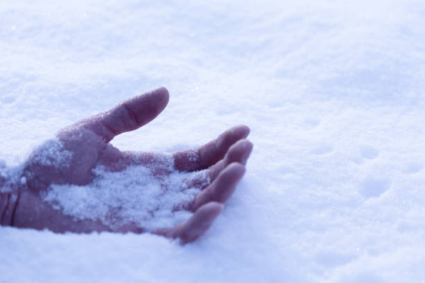 a hand on the snow, a symbol of a frozen man who died from the cold concept stock photo