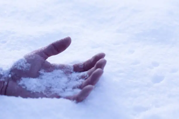 a hand on the snow, a symbol of a frozen man who died from the cold concept, close up, selective focus, copy space