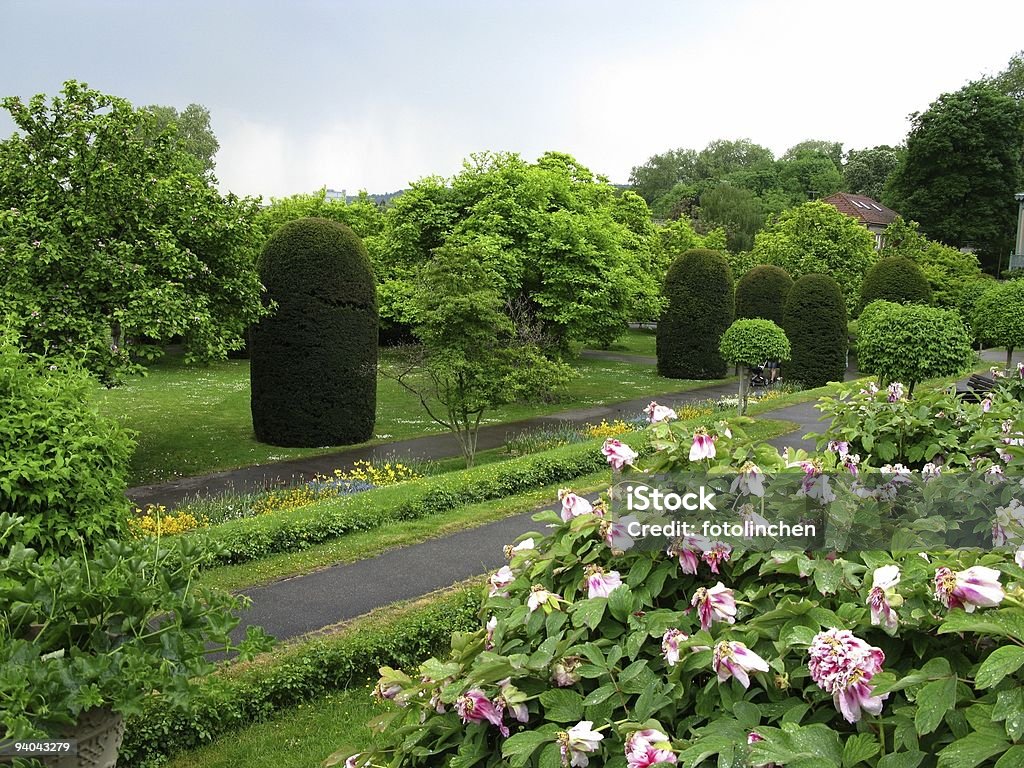 Parkway in Stuttgart - Lizenzfrei Baum Stock-Foto