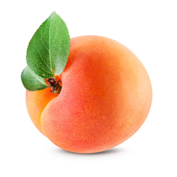 istock Apricot isolated. Apricot with leaves on white. With clipping path. 940450038