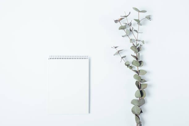 istock Top view template of empty notepad sheet and eucalyptus branch on white 940450712