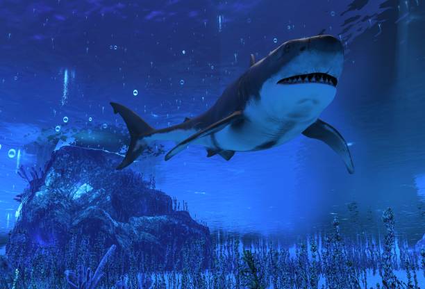 istock Great white shark swimming underwater 3d illustration 940455482